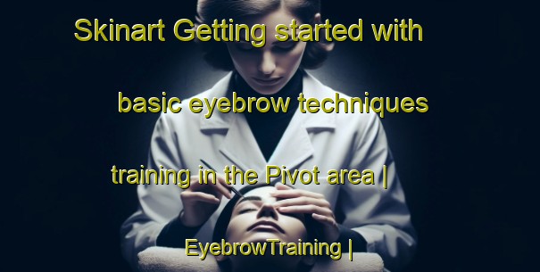 Skinart Getting started with basic eyebrow techniques training in the Pivot area | EyebrowTraining | EyebrowClasses | SkinartTraining-France